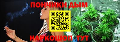 шишки Бузулук