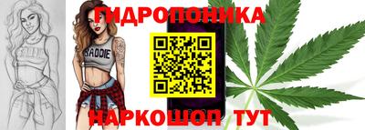 мяу мяу мука Будённовск