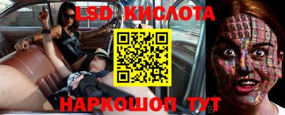 мяу мяу мука Будённовск