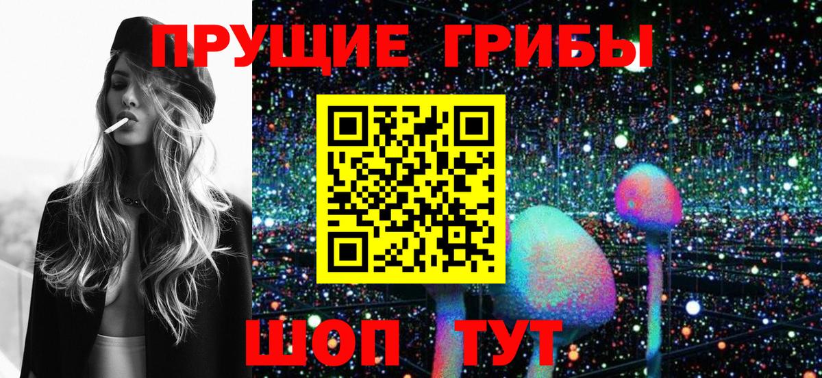 Новокуйбышевск  Псилоцибиновые грибы мухоморы  Вход с VPN 