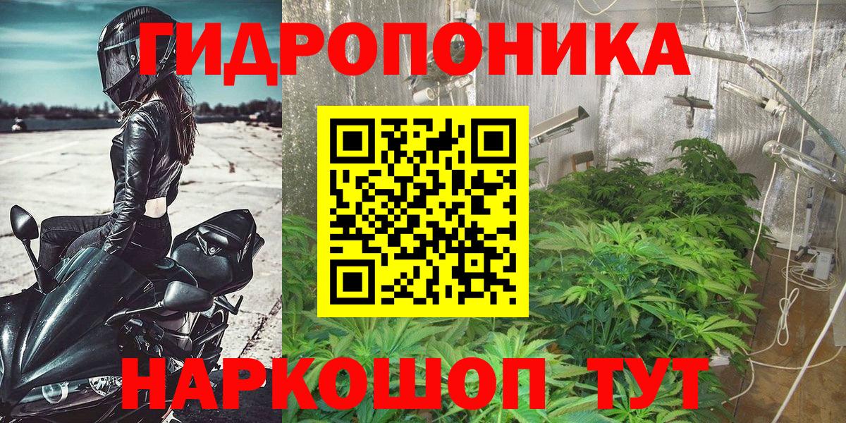 Конопля семена Новокуйбышевск